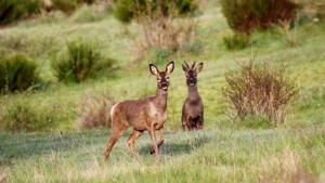 Casa Rural Turística Casa Nicolau 1