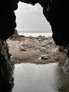 Appartements Une terrasse sur la mer : photos des chambres