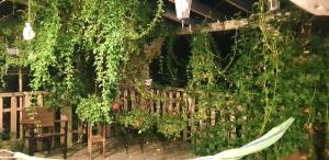 Dom na Warmii -Siedlisko Jabłonka