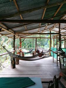 Rio Agujitas Eco Farm hostel and Tours