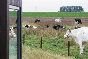 Tiny House Nature 13 Zur Kuhweide - Green Tiny Village Harlesiel