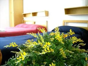 Affittacamere Arcobaleno - San Leo