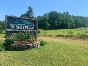 Chic Catskills Getaway Bungalow - Neversink