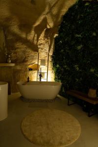 Appartements Le temps suspendu, Suite troglodyte & SPA prive : photos des chambres