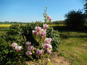 B&B / Chambres d'hotes Chambres d'Hotes - Domaine Des Perrieres : photos des chambres