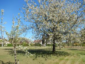 B&B / Chambres d'hotes Chambres d'Hotes - Domaine Des Perrieres : photos des chambres