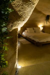 Appartements La falaise perdue : Suite troglodyte grandiose : photos des chambres