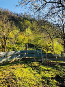 Guest House in the mountaims Gocha