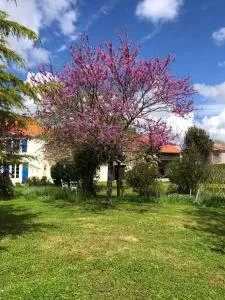 AU DOMAINE DES OISEAUX ses chambres sa gloriette insolite face à l'étang bucolique - Genouillé