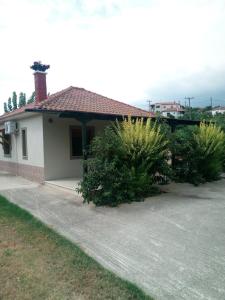 The House in the Mulberries Trees