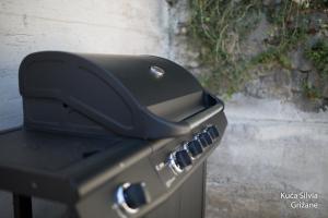 Apartment house Silvia