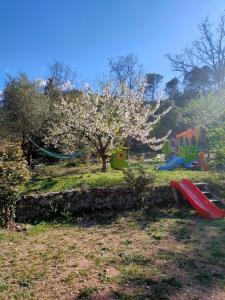 Lodges Cabane des pachous : photos des chambres