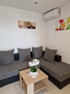 Apartment Vilic