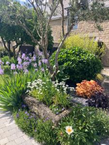 Appartements Le Clos de Kermadec : photos des chambres