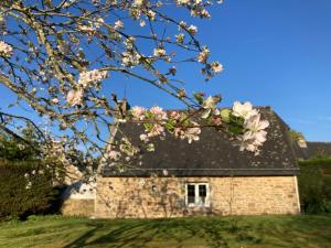 Appartements Le Clos de Kermadec : photos des chambres