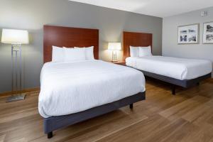 2 Queen Beds, City/Courtyard View, Non-Smoking room in Wingate by Wyndham Valdosta/Moody AFB