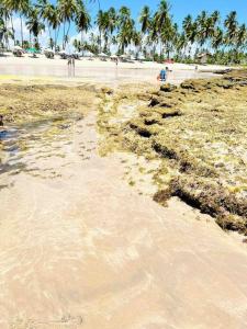 Flat Beira Mar - Carneiros Beach Resort