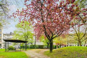 Wuppertaler Altbau-Traum Gutenberg - Nähe DUS & Dortmund & Köln & Essen