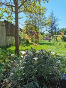 Chalets Dependance cosy entre jardin et piscine : photos des chambres