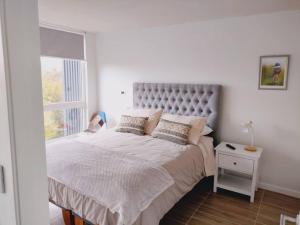 Departamento Isla Teja 519