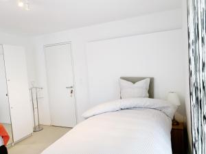 N1 Standalone House Baden