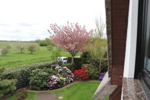 Ferienhäuser Strandhaus Leo