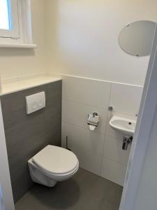 Villa Victoria with sauna in Ermelo