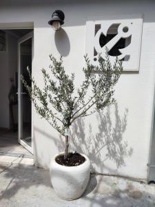 "Ivanera" Postira otok Brač