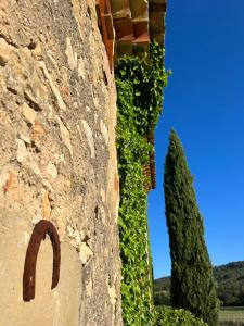 Villas Chateau du Grand Jas : photos des chambres