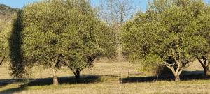 Sejours chez l'habitant Le domaine du Moulin de Cors : photos des chambres