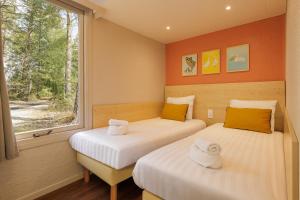 Villages vacances Center Parcs Les Hauts de Bruyeres : photos des chambres