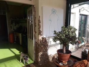 Maisons de vacances Maison d'artiste : photos des chambres