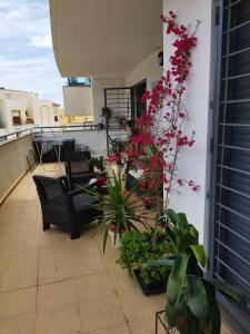 Garrucha Pinar con sorpresa