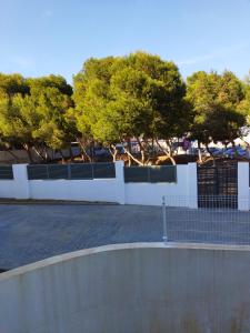 Garrucha Pinar con sorpresa