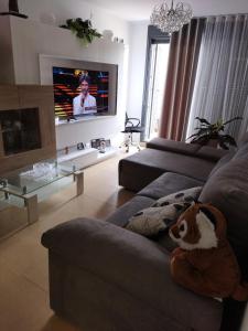 Garrucha Pinar con sorpresa