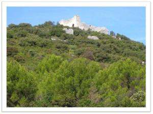 Maisons de vacances Charming small house close to Uzes : photos des chambres