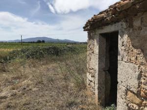 Maisons de vacances Gite la Garrigue : photos des chambres