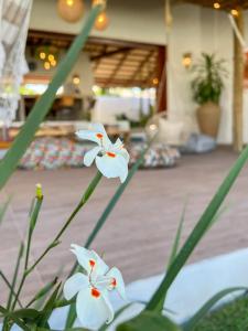 Casa Boa onda - Icaraizinho