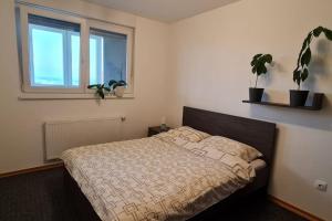 Apartman Mima