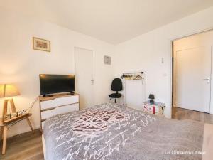 Appartements Bel F3 en residence avec piscine, baignoire balneo : photos des chambres