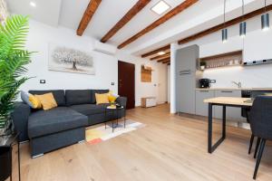 Comfort Studio Carera