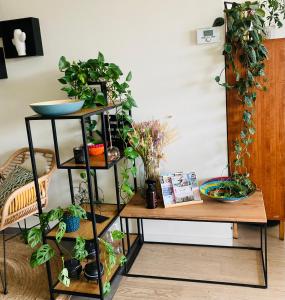 Cozy two bedroom Apartment near city centre Gent