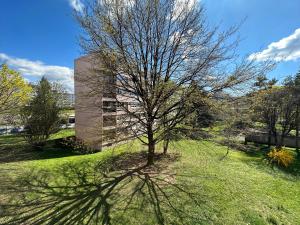 Royale London Signature