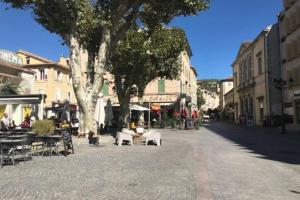 Appartements Draguignan Studio calme et lumineux : photos des chambres