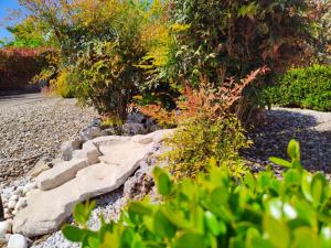 Mamma Puglia Suite & Breakfast