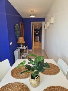 Vistas Mágicas Mar Mediterraneo