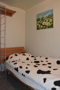 Kaboom Showroom & Guesthouse