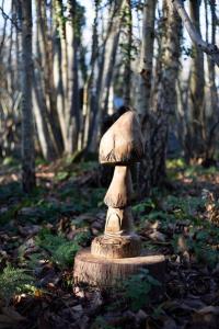 Cosy woodland Romantic retreat With log fires and nature