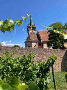 Appartements Le Belvedere Alsacien : photos des chambres