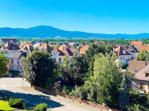 Appartements Le Belvedere Alsacien : photos des chambres